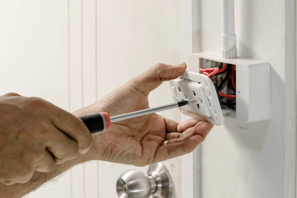 Best Electrical Panel Upgrades  in Elroy, NC